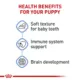 Product Royal Canin Small Breed Thin Slices in Gravy Puppy Dog Wet Food - 5.1 oz