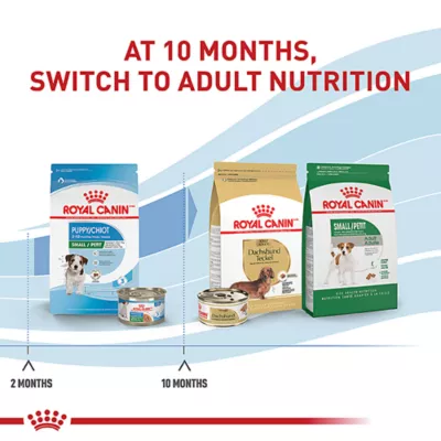 Product Royal Canin Small Breed Thin Slices in Gravy Puppy Dog Wet Food - 5.1 oz