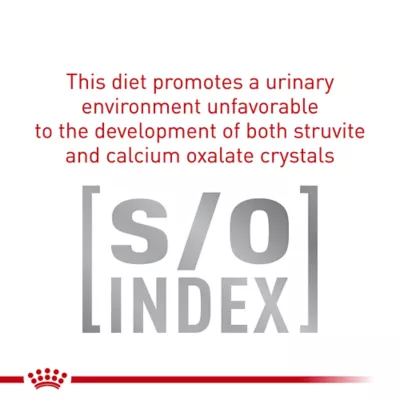 Product Royal Canin Veterinary Diet Gastrointestinal Small Dog Adult Dog Dry Food - Low Fat, 7.7 lb