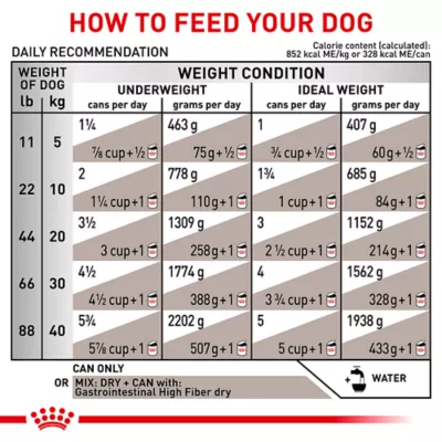 Product Royal Canin Veterinary Diet Gastrointestinal Loaf in Sauce Adult Wet Dog Food - High Fiber, 13.5 oz