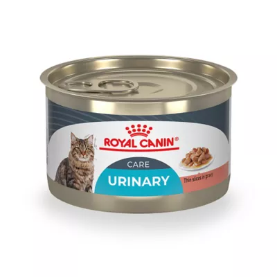 Product Royal Canin Feline Care Nutrition Urinary Care Adult Cat Slices in Gravy Wet Food - 5.1 oz