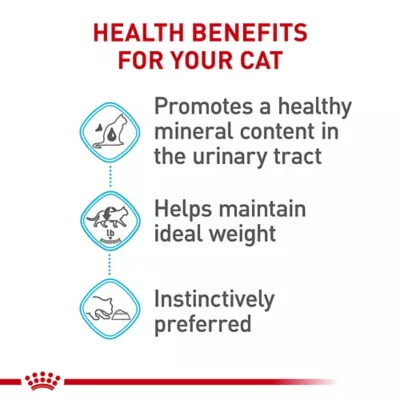 Product Royal Canin Feline Care Nutrition Urinary Care Adult Cat Slices in Gravy Wet Food - 5.1 oz