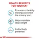 Product Royal Canin Feline Care Nutrition Urinary Care Adult Cat Slices in Gravy Wet Food - 5.1 oz