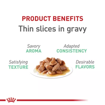 Product Royal Canin® Feline Care Nutrition Digestive Care Adult Cat - Slices in Gravy Wet Food 5.1 oz