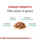 Product Royal Canin® Feline Care Nutrition Digestive Care Adult Cat - Slices in Gravy Wet Food 5.1 oz