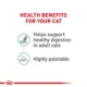 Product Royal Canin® Feline Care Nutrition Digestive Care Adult Cat - Slices in Gravy Wet Food 5.1 oz