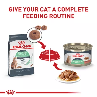 Product Royal Canin® Feline Care Nutrition Digestive Care Adult Cat - Slices in Gravy Wet Food 5.1 oz