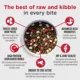 Product Nulo Raw Medley Kibble Plus Freeze Dried Pieces Adult Dog Food - Large Breed, Beef & Sweet Potato