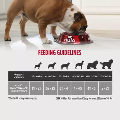 Product Nulo Raw Medley Kibble Plus Freeze Dried Pieces Adult Dog Food - Large Breed, Beef & Sweet Potato
