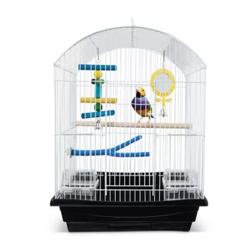 small bird cage