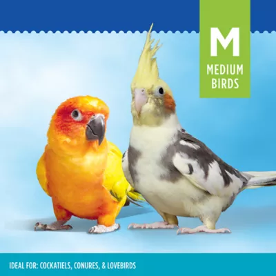 Product All Living Things® Fuzzy Bird Hut