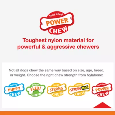 Product Nylabone® Power Chew Donut Dog Toy, Bacon Glazed Flavor