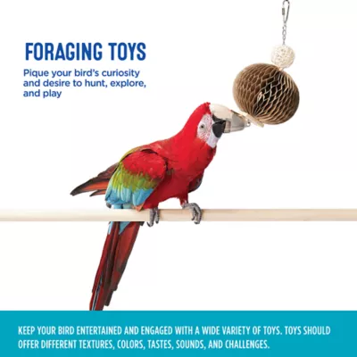 Product All Living Things® Foraging Bird Toy