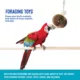 Product All Living Things® Foraging Bird Toy