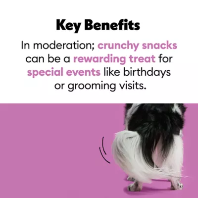 Product Wiggles & Wags Iced Cookies Dog Treats 12 OZ