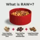 Product Nulo Raw+ Adult Dog Food - Freeze Dried, Grain Free, Chicken, Whitefish & Salmon