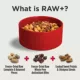 Product Nulo Raw+ Adult Dog Food - Freeze Dried, Grain Free, Lamb Recipe