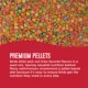 Product All Living Things® Conure Fruit Pellets Food