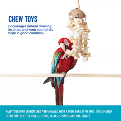 Product All Living Things® Pet Bird Hanging Coconut Toy