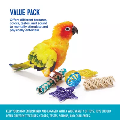 Product All Living Things® Bird Toy Value Pack