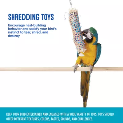 Product All Living Things® Shredding Bird Toy