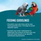 Product All Living Things® Parrot Food