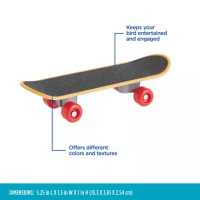 Product All Living Things® Skateboard Bird Toy