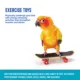 Product All Living Things® Skateboard Bird Toy