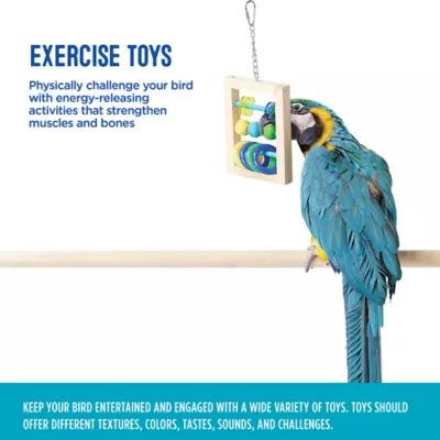 Product All Living Things® Abacus Bird Toy