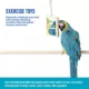Product All Living Things® Abacus Bird Toy