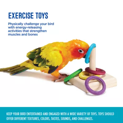 Product All Living Things® Ring Toss Bird Toy
