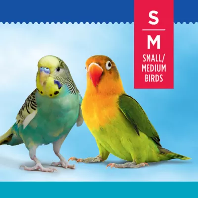 Product All Living Things® Comfort Duck Bird Toy