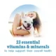 Product Beneful Incredibites Wet Dog Food - Real Lamb in Sauce, 85 g