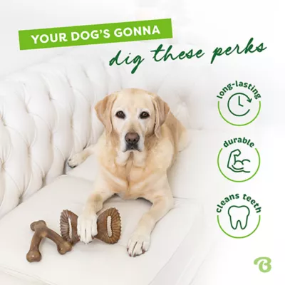 Product Benebone® Wishbone Dental Chew 2 Pack