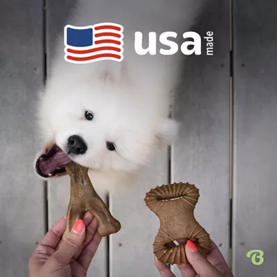 Product Benebone® Wishbone Dental Chew 2 Pack