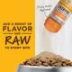 Product Instinct® RawBoost Shakers Cat Food Topper - Freeze Dried, Chicken Recipe, 5.5 OZ
