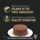 Product Purina Pro Plan Vital Systems Kitten - Pate, 3 Oz