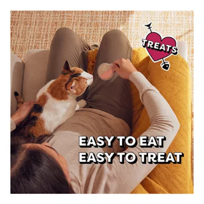 Product Temptations™ Lickable Spoons Cat Treats - 1.4 oz