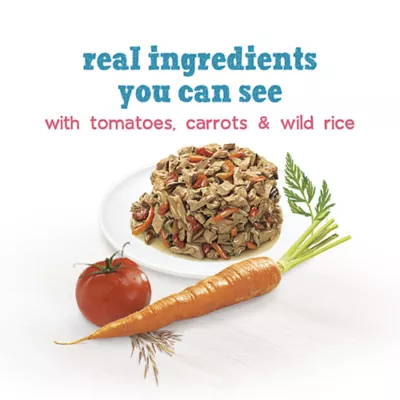 Product Beneful Incredibites Wet Dog Food - Real Salmon in Gravy, 85 g