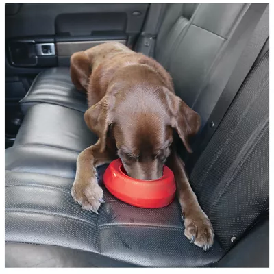 Product Kurgo® Splash Free Wander Dog Water Bowl