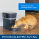 Product PetSafe® Smart Feed WIFI Enabled Automatic Pet Feeder