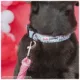 Product Sassy Woof Barbie Closet Goals Dog Collar
