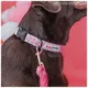 Product Sassy Woof Barbie Malibu Dog Collar