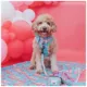 Product Sassy Woof Barbie On a Roll Dog Harness, Leash and Waste Bag Holder Bundle