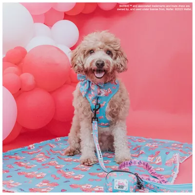 Product Sassy Woof Barbie On a Roll Dog Harness, Leash and Waste Bag Holder Bundle