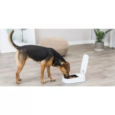 Product TRIXIE TX1 Automatic Pet Feeder