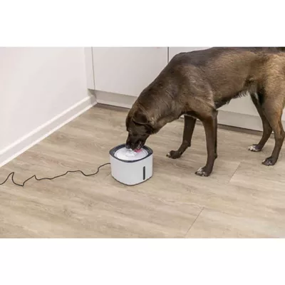 Product TRIXIE Flower Drinking Fountain 68oz