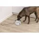 Product TRIXIE Flower Drinking Fountain 68oz