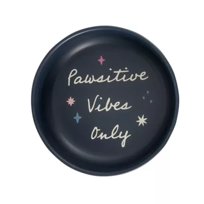 Product Whisker City® Space Cat Ceramic Cat Bowl