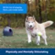 Product  PetSafe® Automatic Ball Launcher